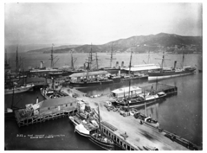 Ships berthed at Queen’s Wharf, including Stormbird far right, 1880’s  Burton Bros [Alexander Turnbull Library PA7-34-20] 